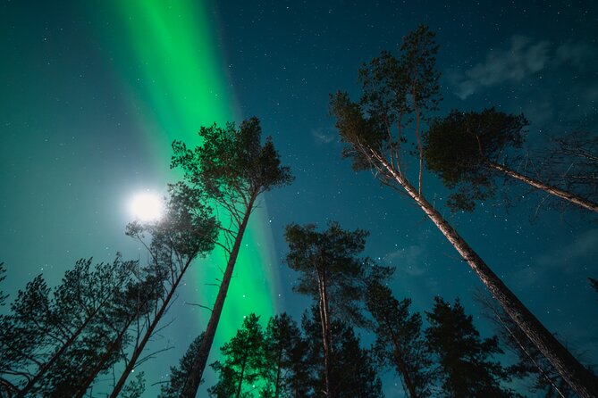 Aurora Photography Expedition with Video - The professional photoshoot and camera help