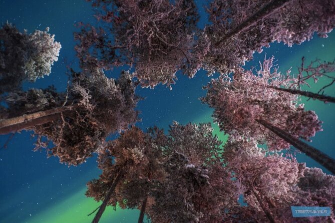 Aurora Photography Tour 3 HOURS - Is $167.74 a fair price?