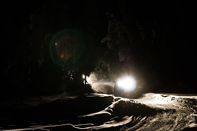Aurora Sleighers Snowmobile Tour in Fairbanks - Guides who make the night easier