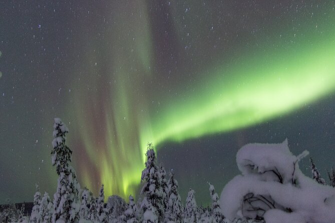 Aurora Sleighers Snowmobile Tour in Fairbanks - Photographing the aurora from the trail