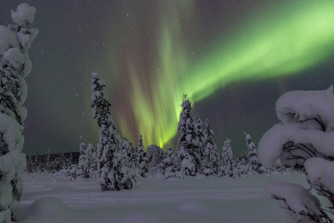 Aurora Sleighers Snowmobile Tour in Fairbanks - The aurora gamble and weather policy
