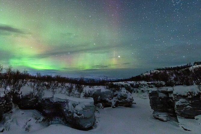 Aurora Tour with Dinner in Abisko - Key Points Before You Book
