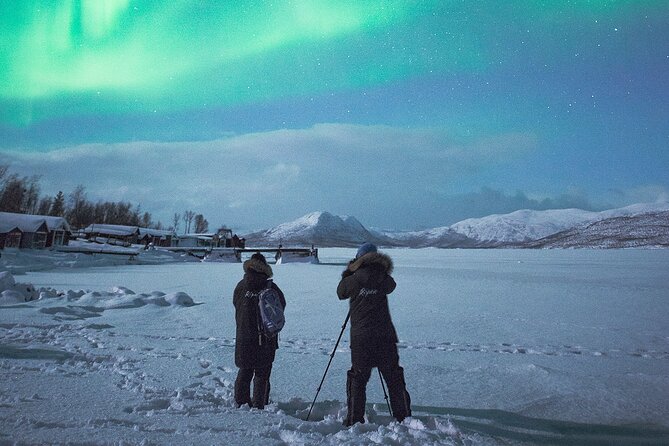 Aurora Tour with Dinner in Abisko - The 1.5-Hour Drive Into Abisko