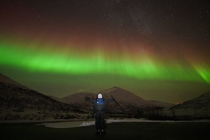 Aurora tour with free portrait and bonfire - Five things to know before booking