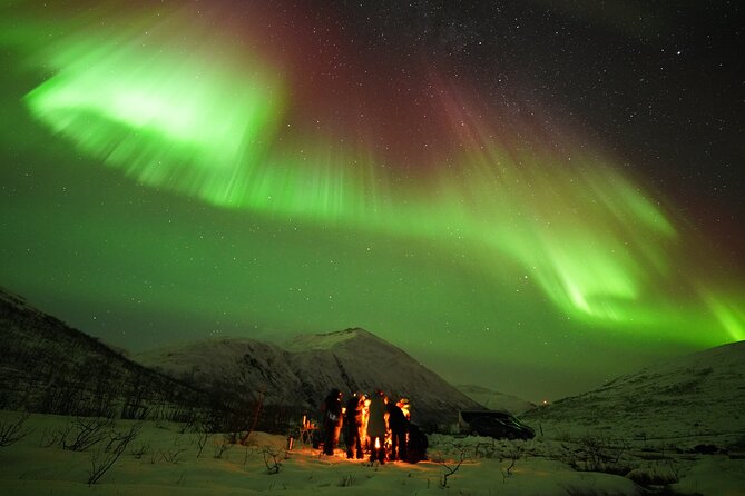 Aurora tour with free portrait and bonfire - Is $177.60 a fair price?
