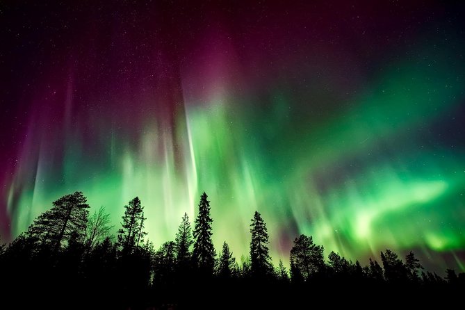 Aurora Viewing Lodge - Key points before you book