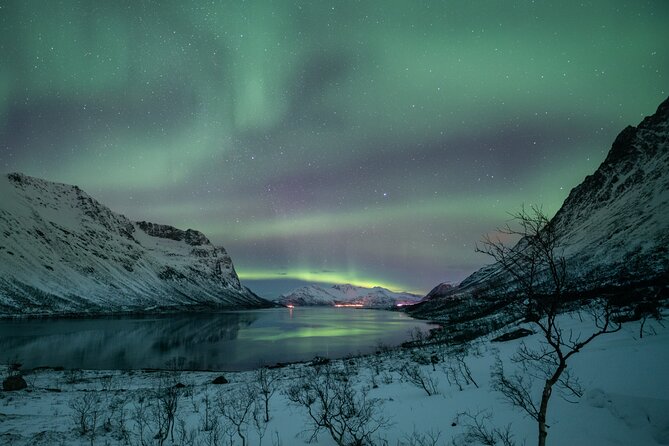 Auroras Hunt - Tour in Spanish, Northern Lights Chase in Spanish - Photography help and portraits after the outing