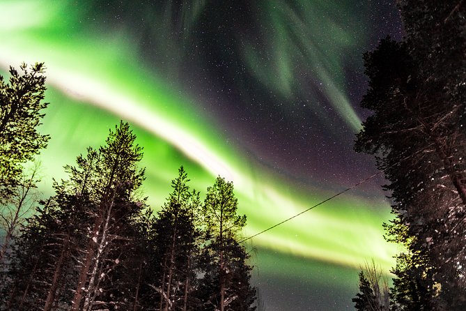 Auroras in Saariselkä – Northern Lights Photo Tour by Car and on Foot - Driving into the dark around Saariselkä