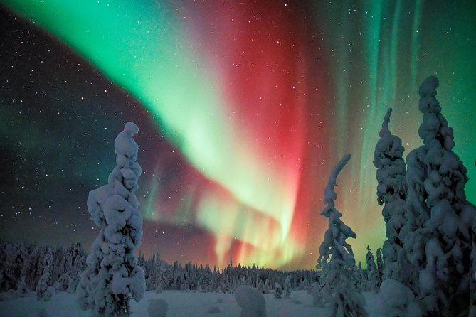 Auroras - Northern Lights Tours by Aurora Experts - Rovaniemi - Leaving Rovaniemi at 9 p.m.