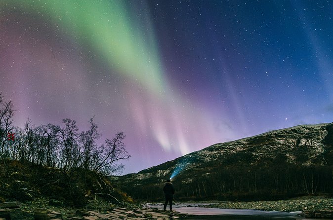 Autumn Abisko Aurora Chase - Group size and the feel of the bus