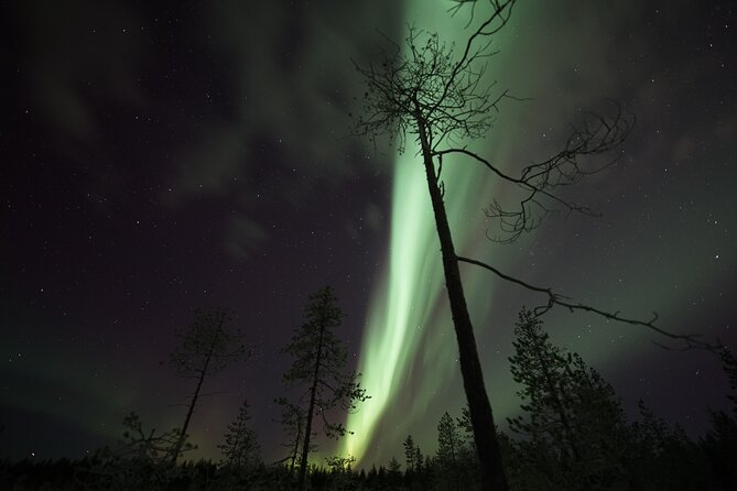 Autumn Aurora Borealis Picnic in Rovaniemi - Thermal clothing for a long Arctic wait