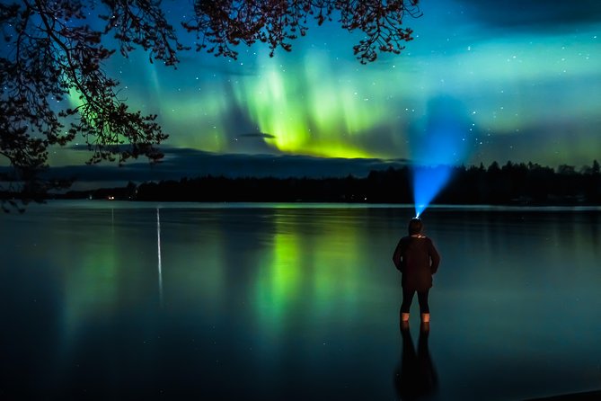 Autumn Aurora Borealis Picnic in Rovaniemi - Why the campfire picnic matters