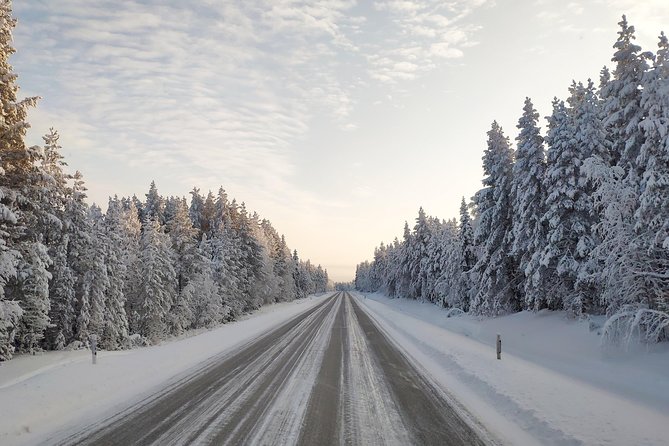 Best Of Lapland: Sauna, Ice swimming, Dinner & Northern Lights - The Ice Swim: Brief, Bracing, and Optional