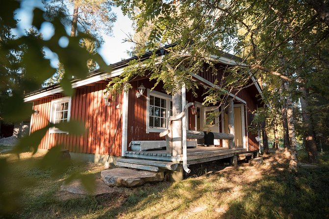 Best Of Lapland: Sauna, Ice swimming, Dinner & Northern Lights - Open-Fire Salmon Dinner After the Cold