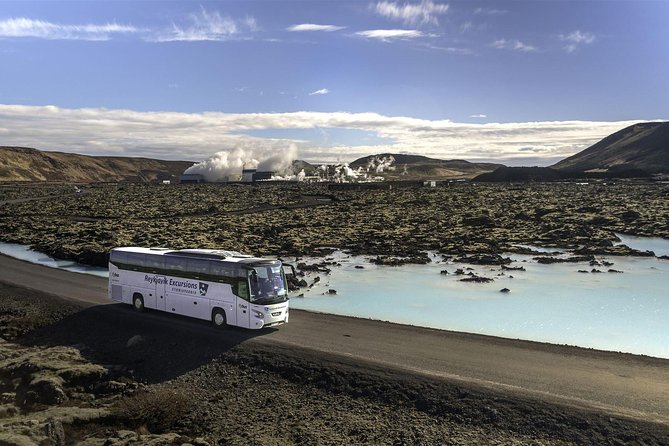 Blue Lagoon & Northern Lights Tour from Reykjavik - The Northern Lights search
