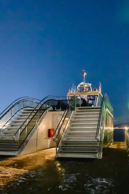 Bodø: Northern Lights Cruise - Meeting the ship behind Quality Ramsalt