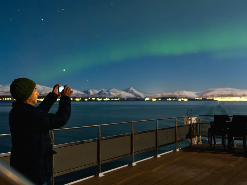 Bodø: Northern Lights Cruise - Searching Vestfjorden for clear skies