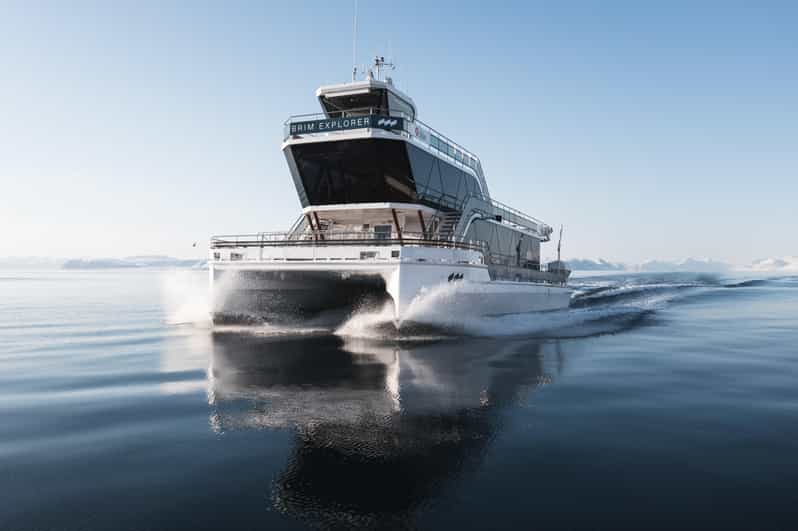 Bodø: Northern Lights Cruise - What the guide adds to the evening