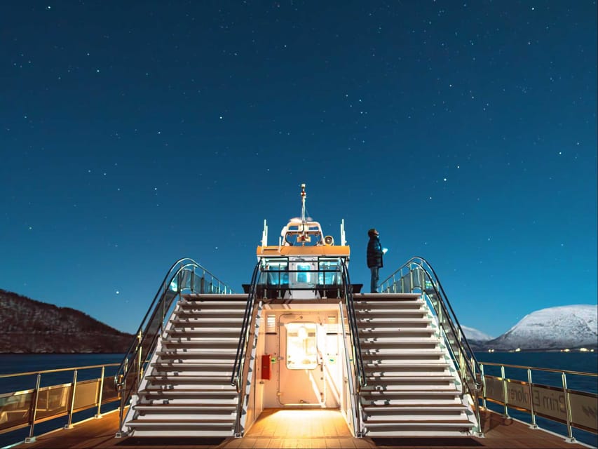 Bodø: Northern Lights Cruise - Who should book this Bodø cruise?