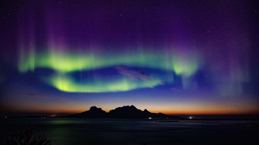 Bodø: Northern Lights safari - Key points to know before you book