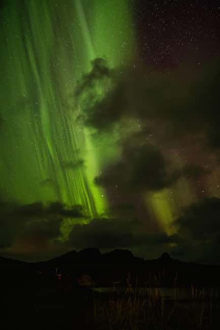 Bodø: Northern Lights safari - The 105-minute viewing stop