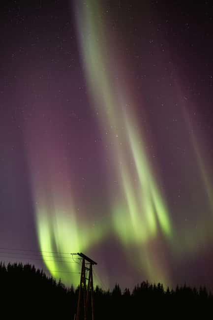 Bodø: Northern Lights safari - My final call on the Bodø Northern Lights safari