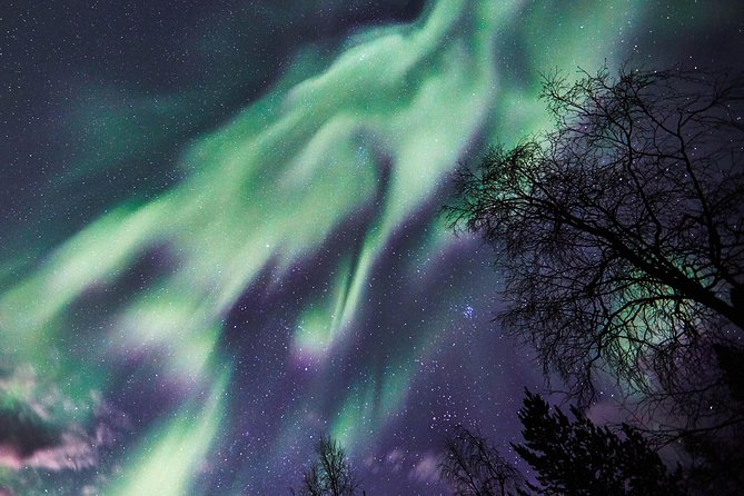 Capturing Auroras in Pyhä - Who should book this experience?