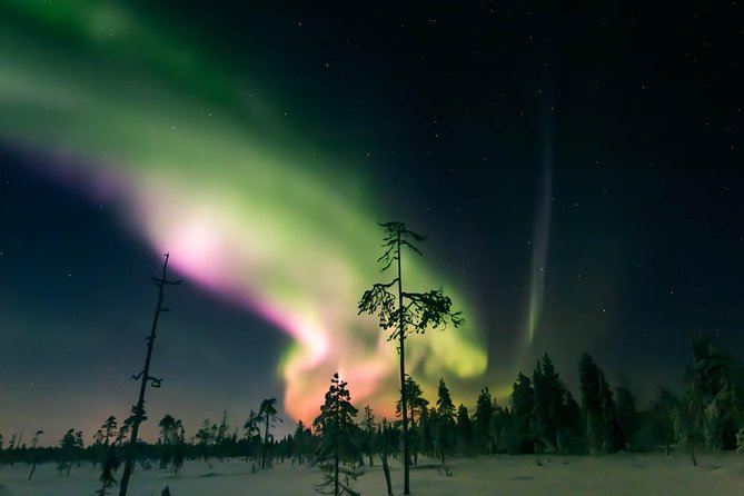 Capturing Auroras in Pyhä - Tajukangas and the first camera lesson