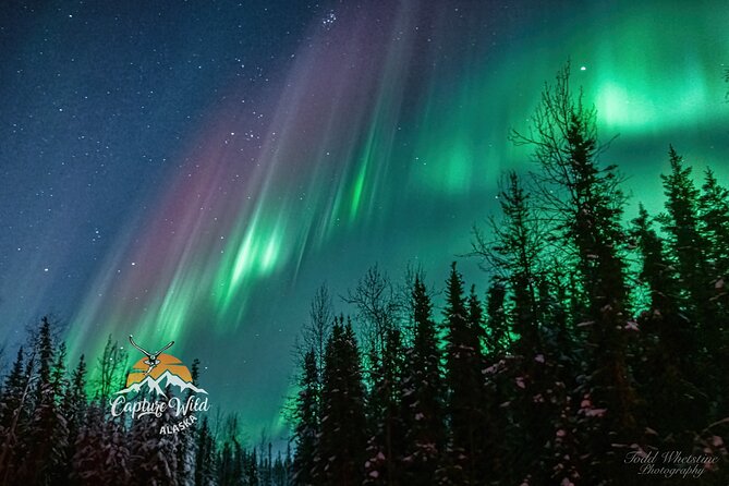 Capturing the Ethereal Beauty: Northern Lights Photo Workshop - Key points at a glance
