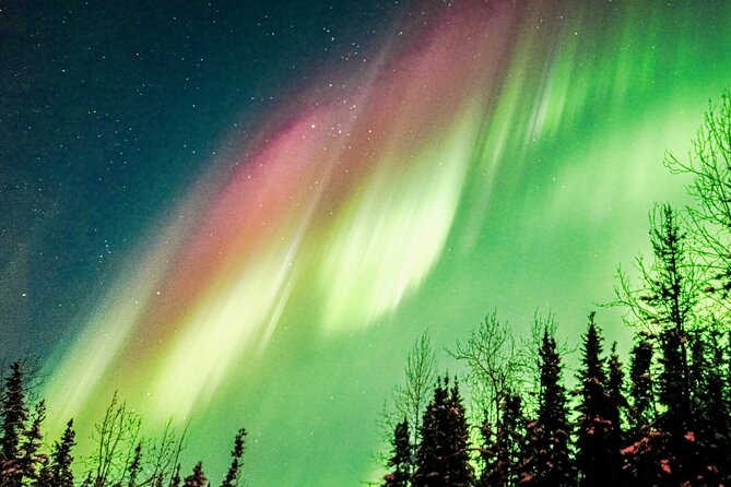 Capturing the Ethereal Beauty: Northern Lights Photo Workshop - Small groups make the teaching more useful
