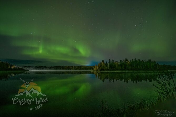 Capturing the Ethereal Beauty: Northern Lights Photo Workshop - Camera rentals, tripods, and what to bring