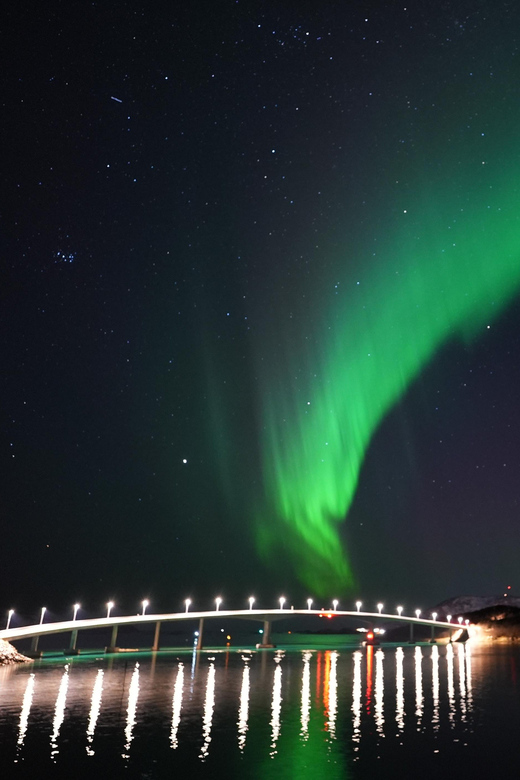 Chase the Magic of the Northern Lights in Tromsø Norway - Meeting at Tromsø City Library