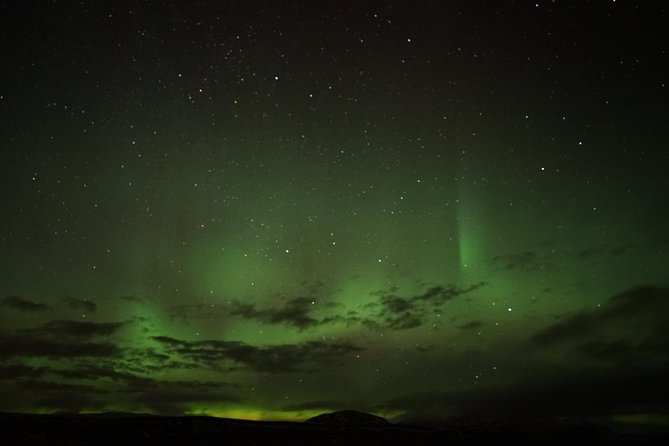 Chasing Aurora Borealis with Warmth and Treats in Premium Tour! - Why the $249 price may be worthwhile