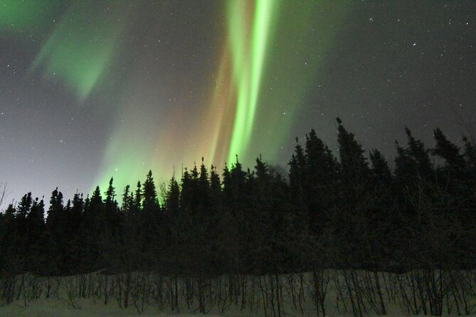 Chena Hot Springs Northern Lights Aurora Borealis From Fairbanks - Inside the Chena Ice Museum