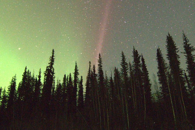 Chena Hot Springs Northern Lights Aurora Borealis From Fairbanks - Should You Book the Chena Aurora Tour?