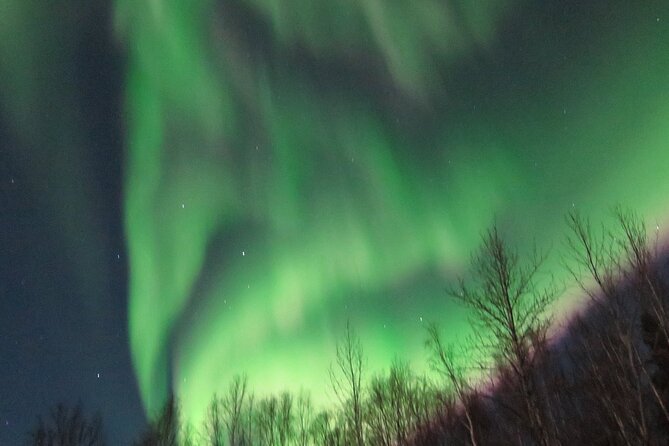 Chena Hot Springs plus Aurora Chase Tour - Photography help and the five included portraits