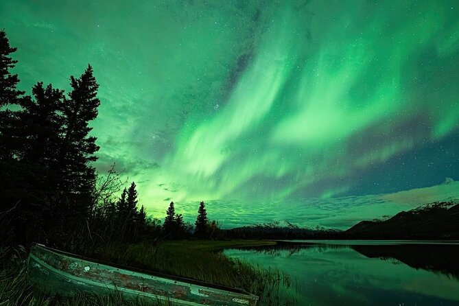 Denali National Park Plus Aurora Chase Tour - One long Alaska day, from Nenana to the night sky