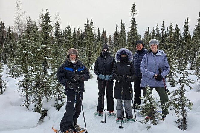 Denali National Park Plus Aurora Chase Tour - Nenana and the drive south