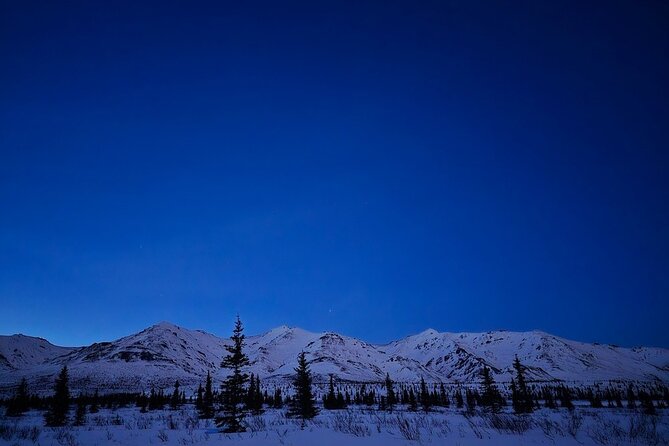 Denali National Park Plus Aurora Chase Tour - Waiting for the aurora near Denali