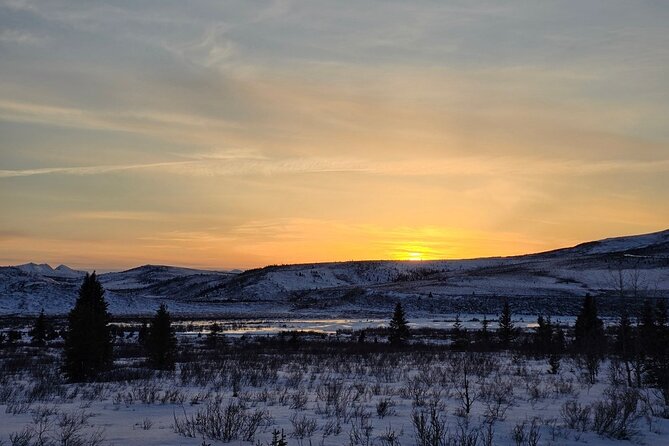 Denali National Park Plus Aurora Chase Tour - Is $350 a fair price?