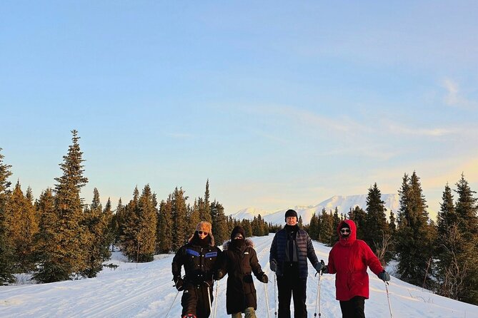 Denali National Park Plus Aurora Chase Tour - Cold, bathrooms, and the practical realities