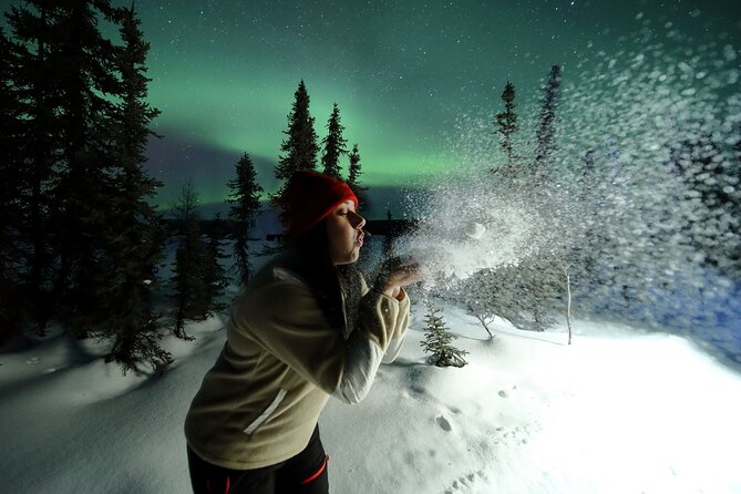 Electric Moose Studios Aurora Adventure W/Portraits & Hot Pizza!! - The aurora guarantee and repeat-night value