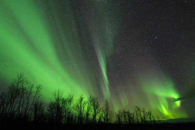 Enjoy the Aurora show on top of the mountain inc tipi dinner - How much value do you get for $338.80?