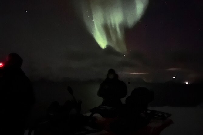 Evening Tour and Aurora Borealis Sightseeing in Norway by ATV - Group size, comfort, and who will enjoy it