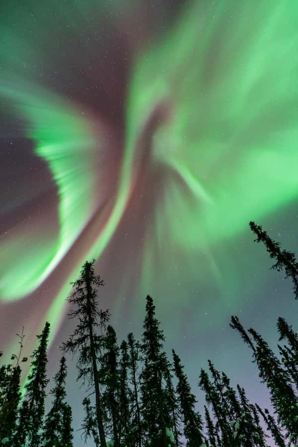Fairbanks: Aurora Borealis Northern Lights Tour - Key points before you book