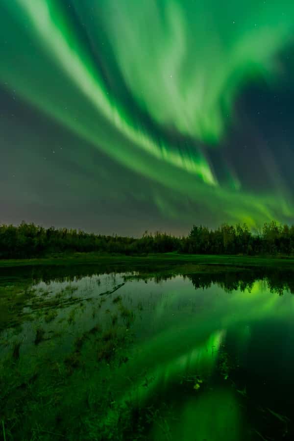 Fairbanks: Aurora Borealis Northern Lights Tour - Why Fairbanks is a strong base for aurora hunting