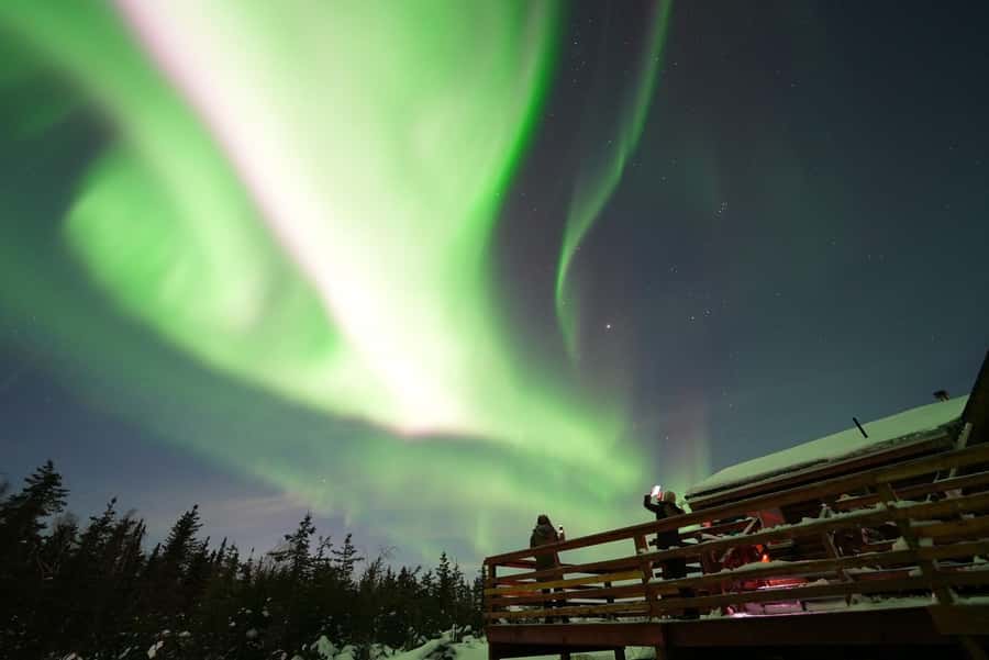 Fairbanks: Aurora Husky Lodge Aurora Viewing Tour - A late-night ride from Fairbanks