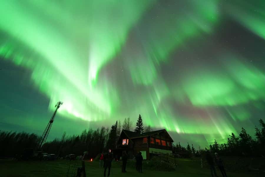Fairbanks: Aurora Husky Lodge Aurora Viewing Tour - Waiting for the Northern Lights from a ridge