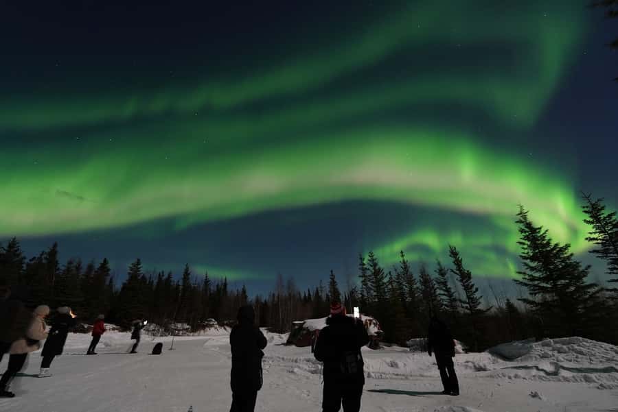 Fairbanks: Aurora Husky Lodge Aurora Viewing Tour - Is $130 a fair price?