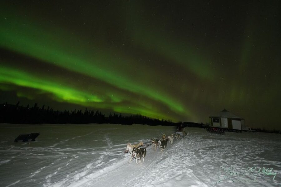 Fairbanks: Moonlight Dog Sled, Dinner & Northern Lights - A Six-Hour Evening From Fairbanks Hotels